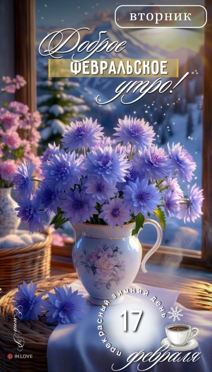 Доброе февральское утро! вторник 17 февраля