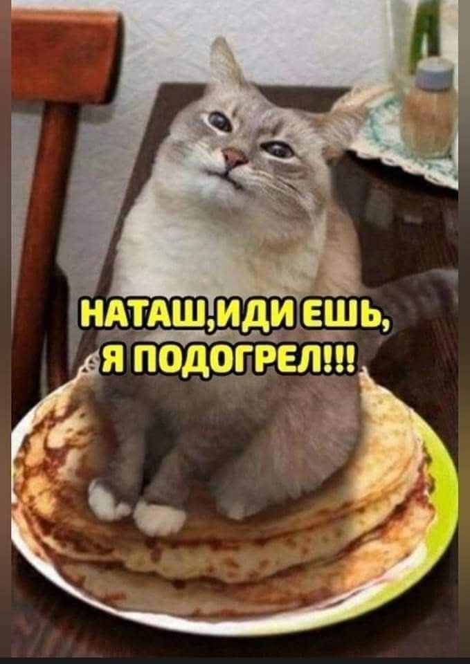 НАТАШ,ИДИ ЕШЬ, Я ПОДОГРЕЛ!!!