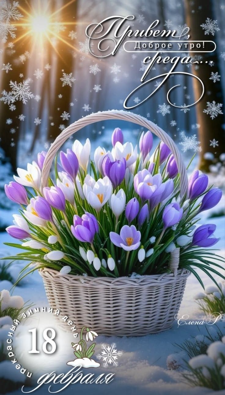 Привет! доброе утро! среда... Красивый зимний день. 18 февраля. Изящная надпись и корзина с тюльпанами.
