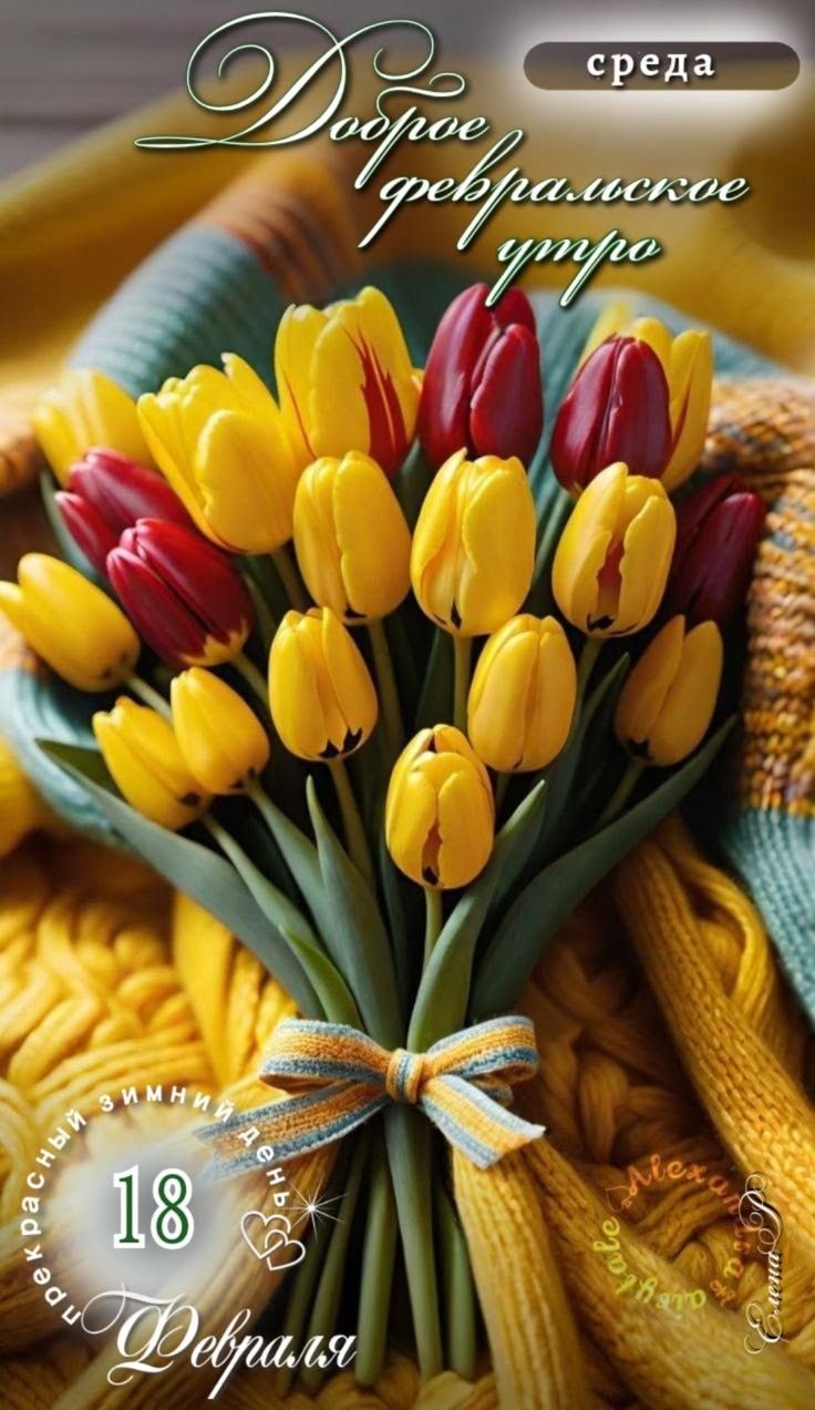Доброе февральское утро
18 Февраля
среда