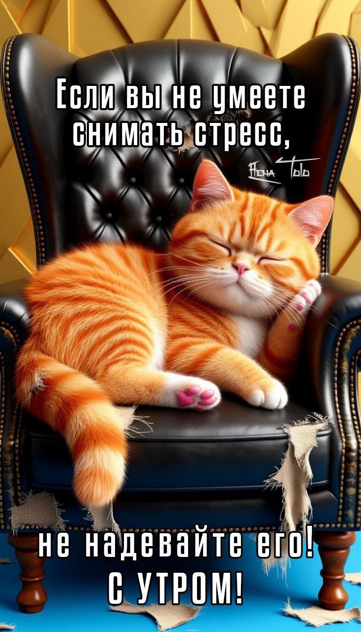 Если вы не умеете снимать стресс, не надевайте его с утра!