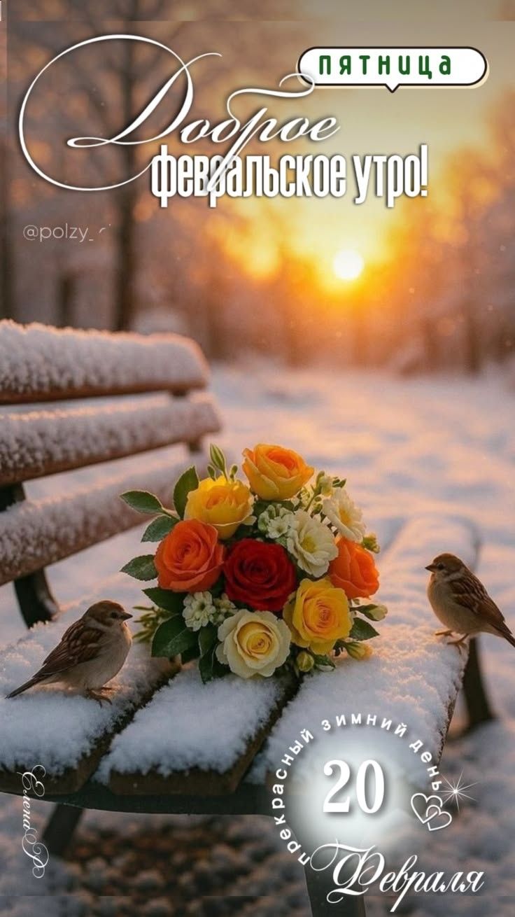 Доброе февральское утро! пятница 20 Февраля