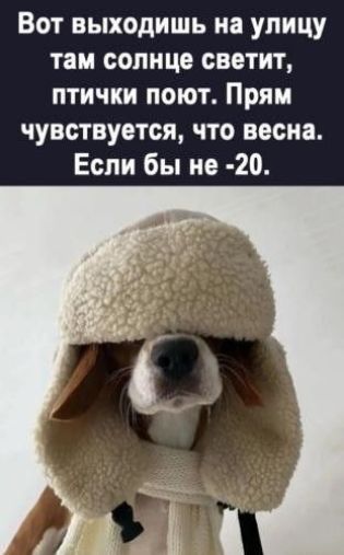 Вот выходишь на улицу там солнце светит, птички поют. Прям чувствуется, что весна. Если бы не -20.