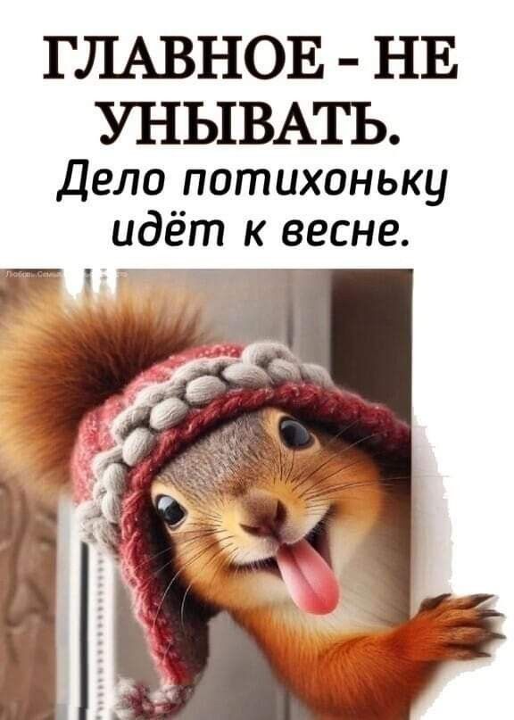 ГЛАВНОЕ - НЕ УНЫВАТЬ. Дело потихоньку идёт к весне.