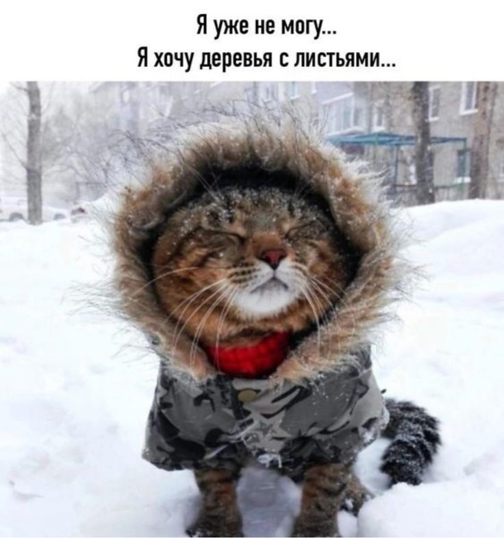 Я уже не могу... Я хочу деревья с листьями...