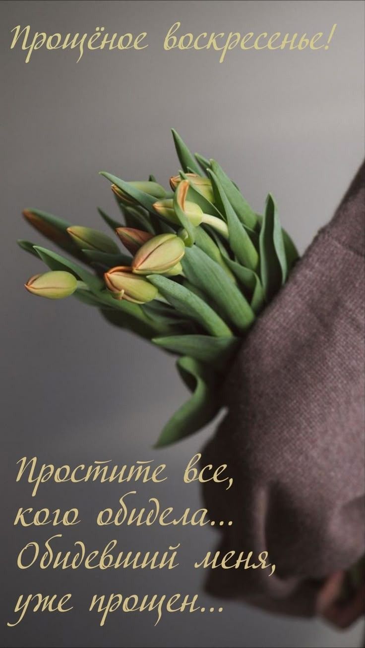 Прощёное воскресенье! Простите все, кого обидела... Обидевший меня, уже простил...