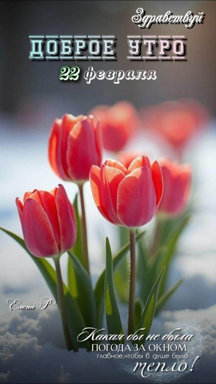 Здравствуй ДОБРОЕ УТРО 22 февраля
Какая бы не была ПОГОДА ЗА ОКНО главное, чтобы в душе было тепло!