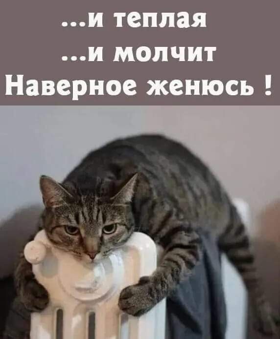 ...и теплая ...и молчит Наверное женюсь !
