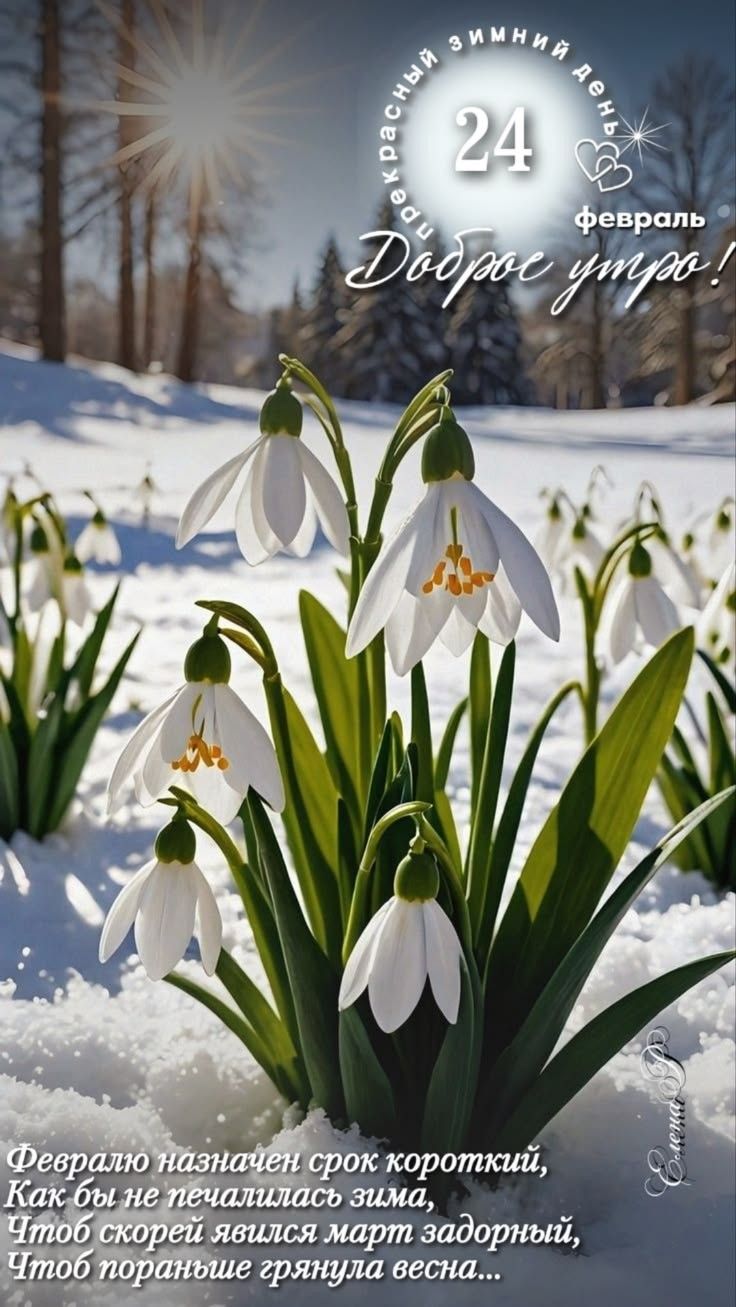 24 февраля Доброе утро! Февраль назначен срок короткий, Как бы не печалился зима, Чтоб скорей явился март задорный, Чтоб пораньше грянула весна...