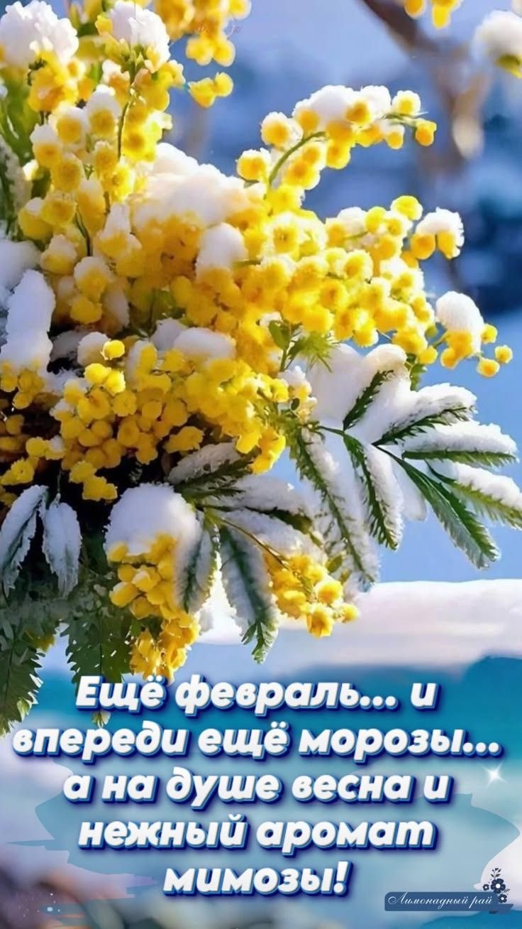 Ещё февраль... и впереди ещё морозы... а на душе весна и нежный аромат мимозы!
