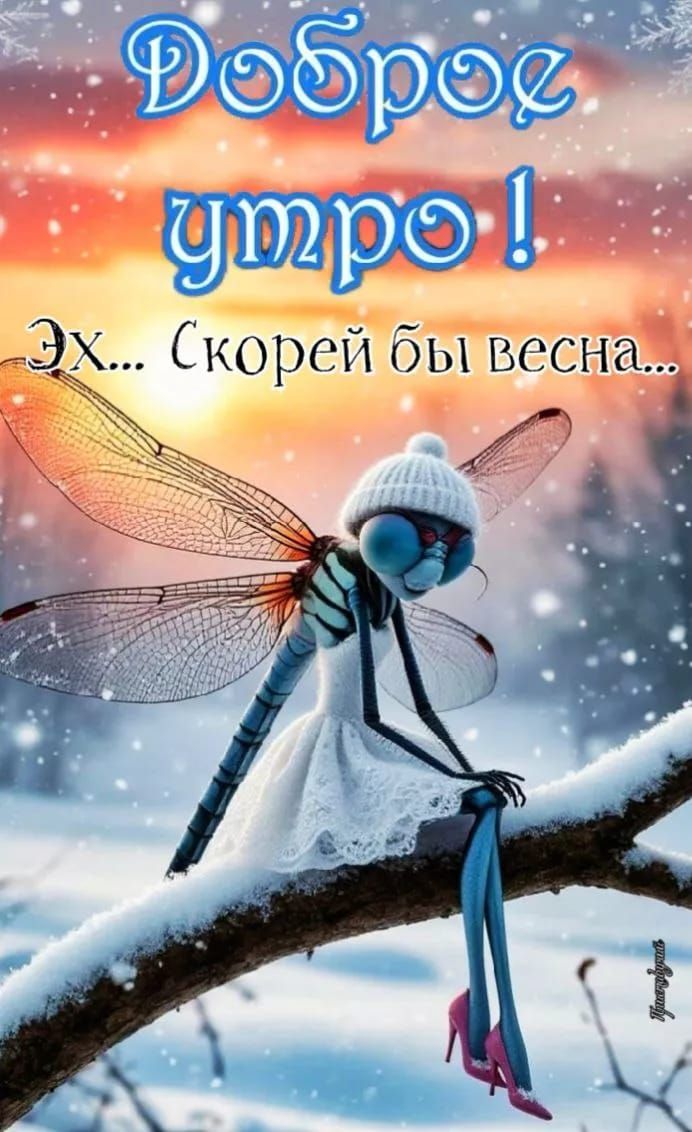 Доброе утро! Эх... Скорей бы весна...