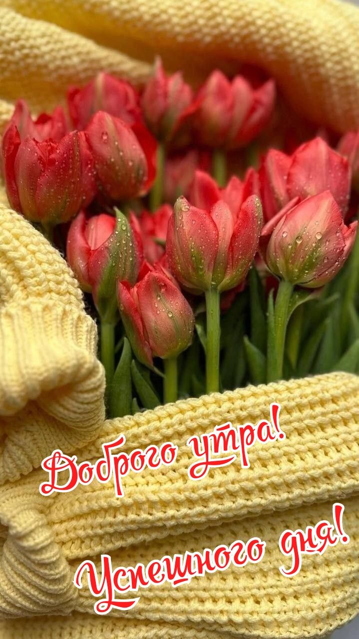 Доброе утро! Успешного дня!