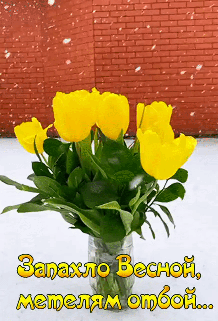 Запахло Весной, метелям отбой...