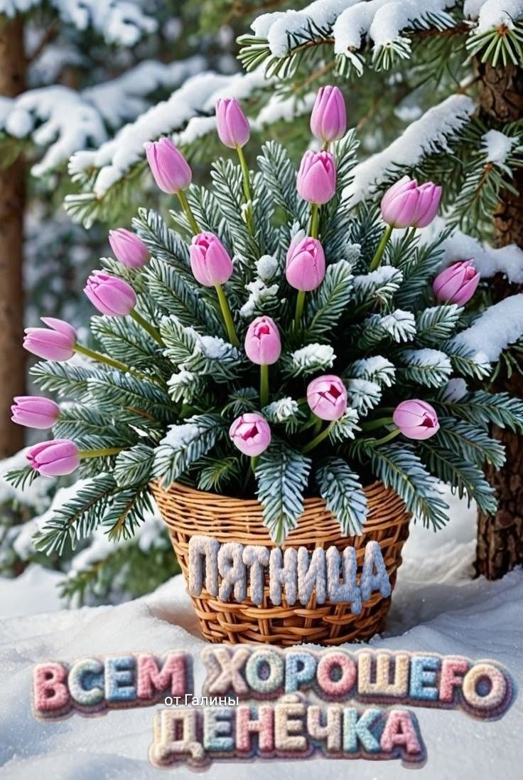 ВСЕМ ХОРОШЕГО ДЕНЬКА. ОТ ГАЛИНЫ