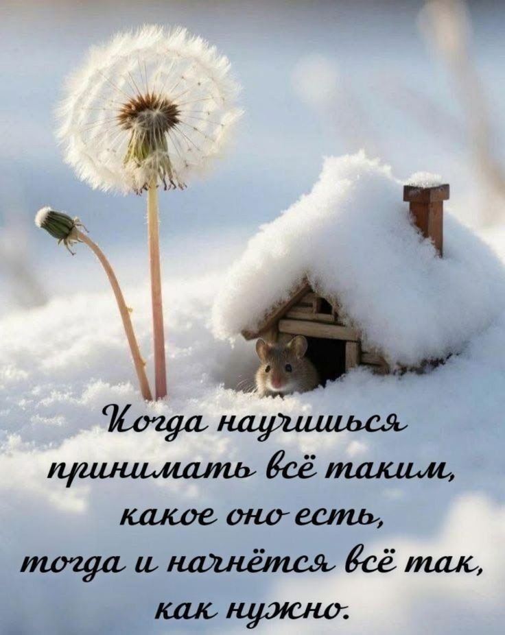 Когда научишься принимать всё таким, какое оно есть, тогда и налётся всё так, как нужно.