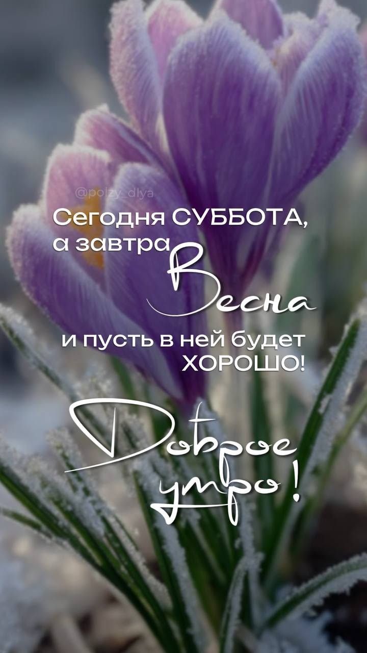 Сегодня СУББОТА, а завтра Весна и пусть в ней будет ХОРОШО! Доброе утро!
