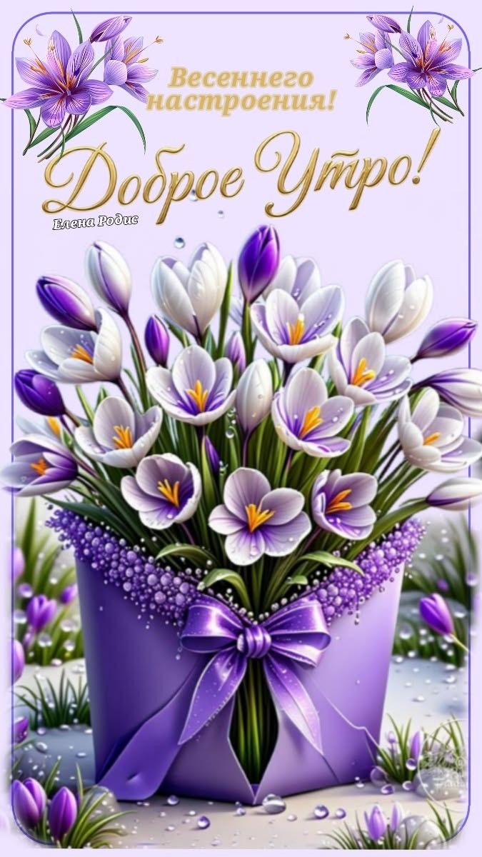 Весеннего настроения! Доброе утро! Весна Родись