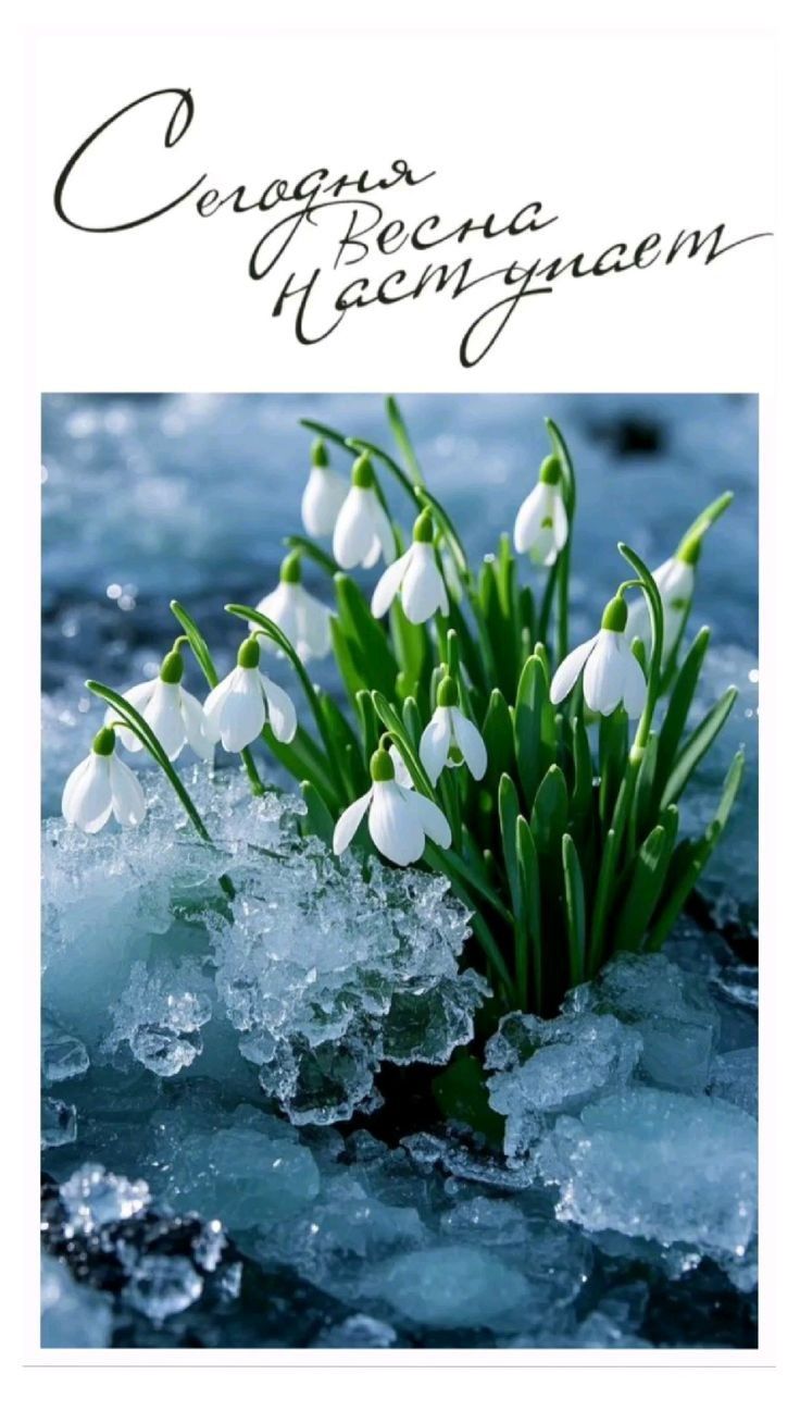 Сегодня Весна Наступает