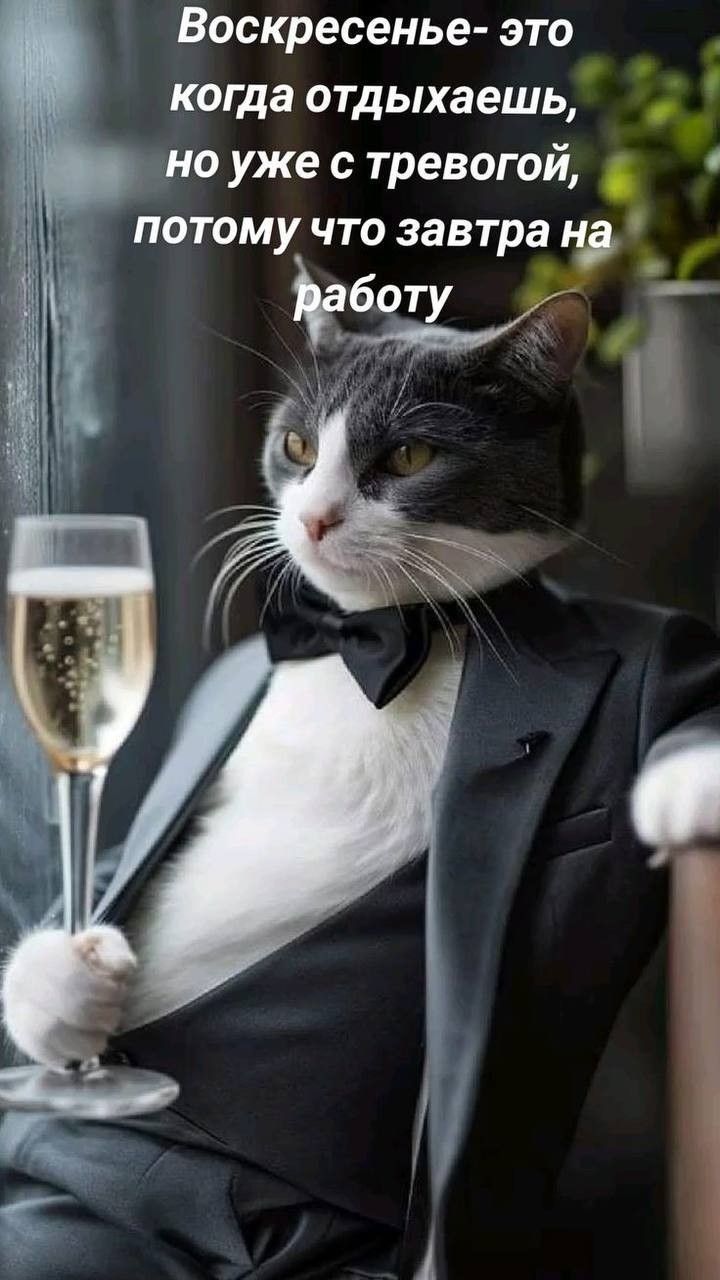Воскресенье- это когда отдыхаешь, но уже с тревогой, потому что завтра на работу