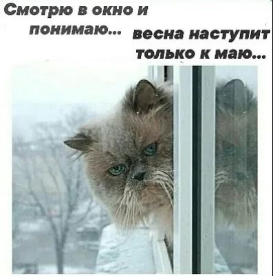 Смотрю в окно и понимаю... весна наступит только к маю...