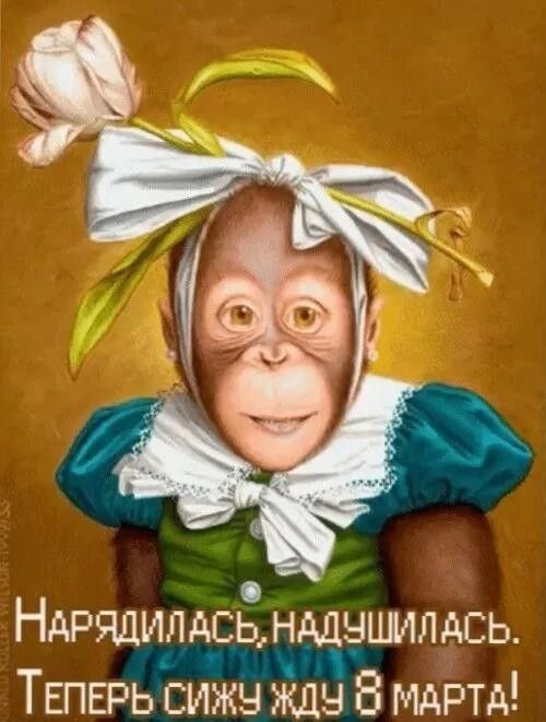 Надрядилась, надушилась. Теперь сижу жду 8 марта!