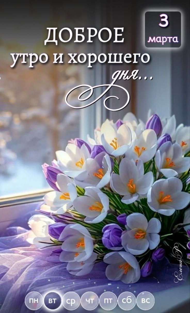 ДОБРОЕ утро и хорошего дня... 3 марта