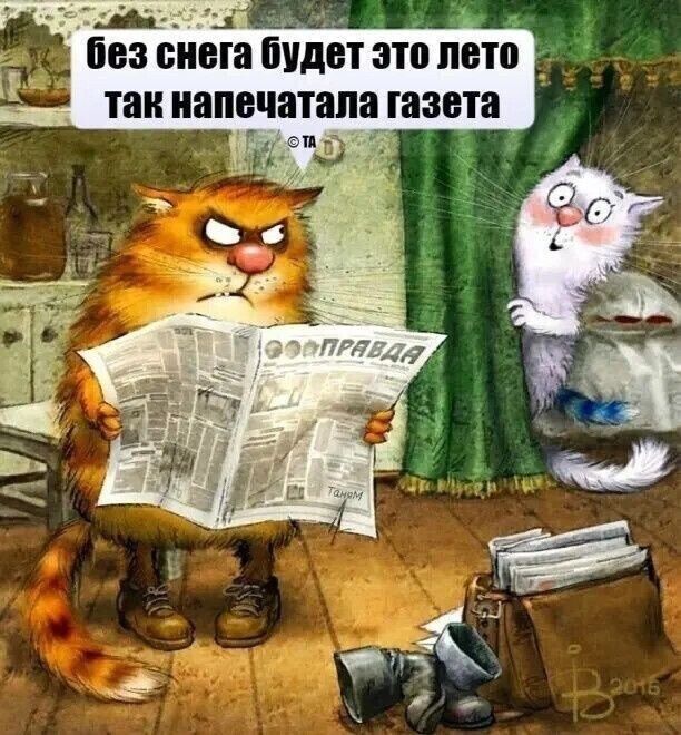 без снега будет это лето так напечатала газета