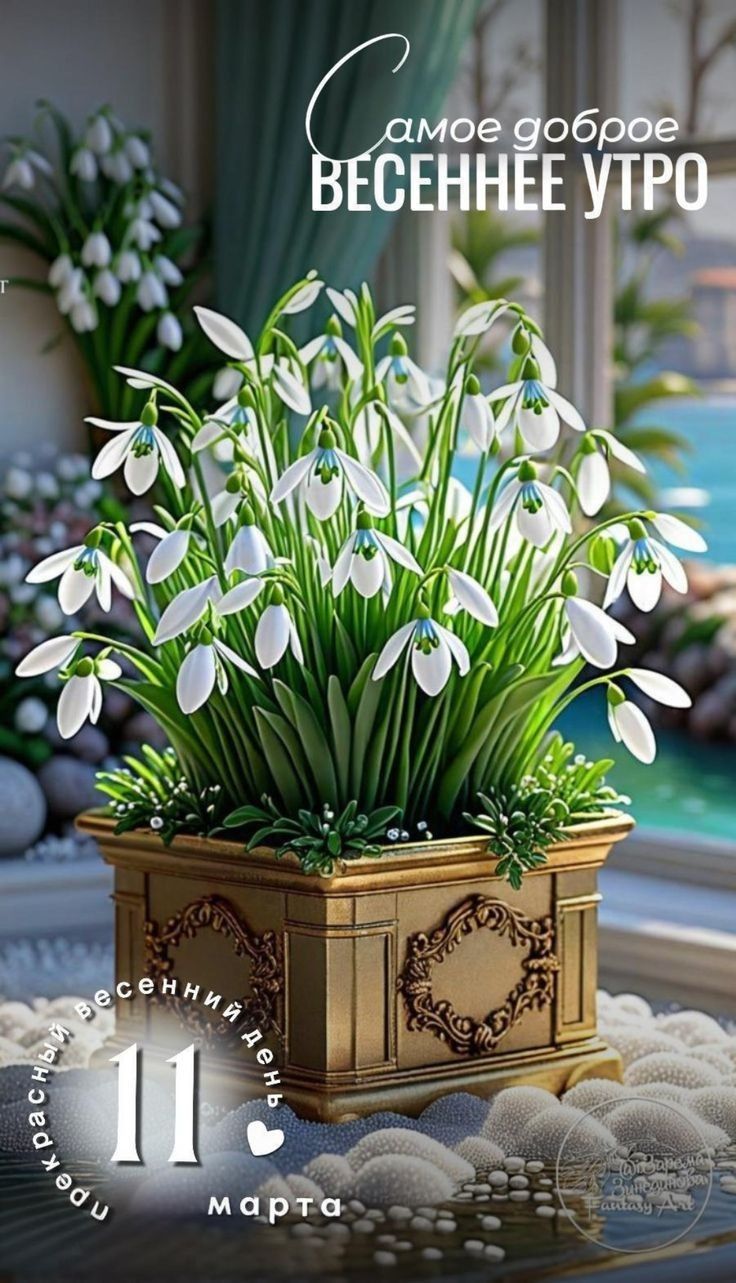 Самое доброе весеннее утро. 11 марта.