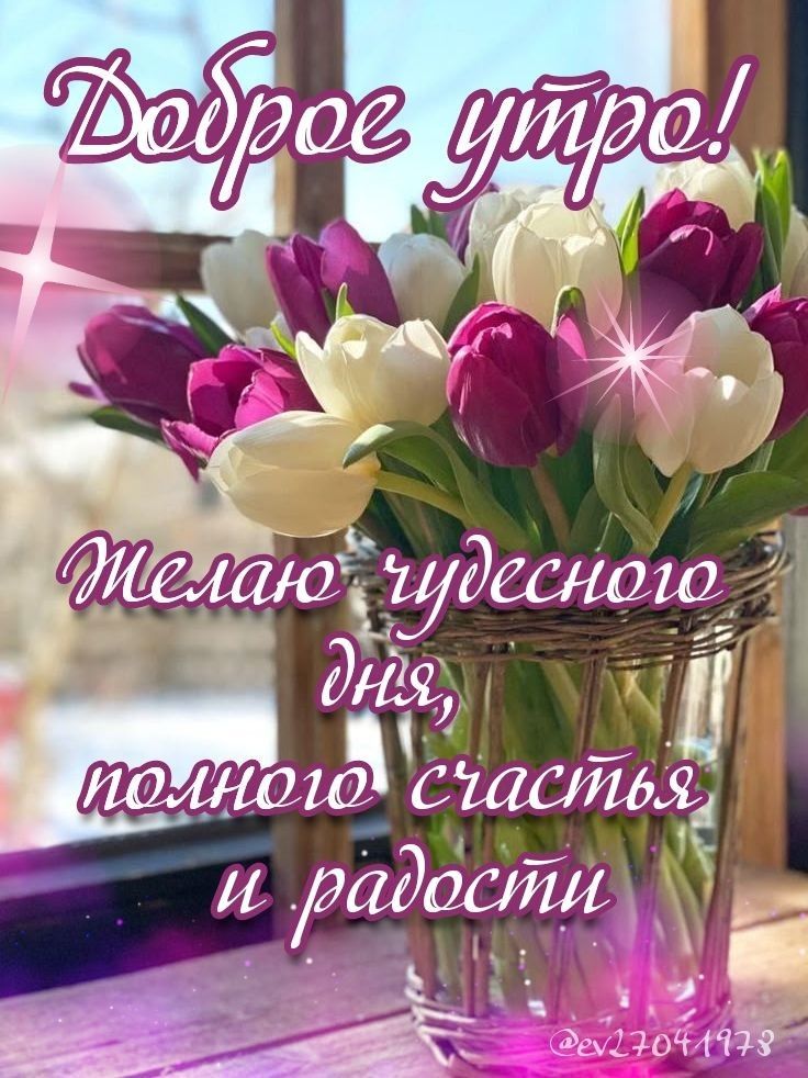 Доброе утро! Желаю чудесного дня, полного счастья и радости