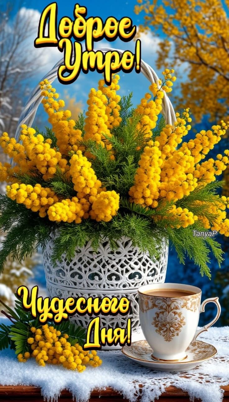 Доброе утро! Чудесного дня!