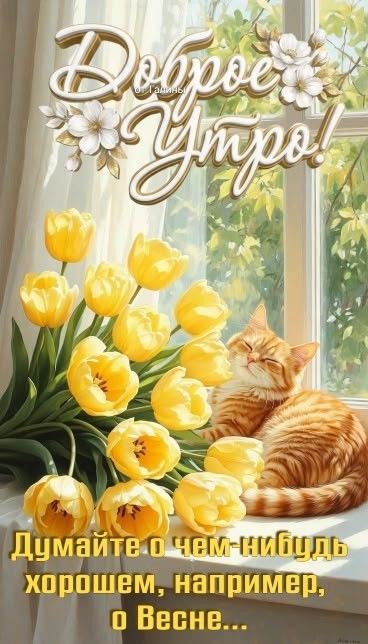 Доброе утро! Думайте о чем-нибудь хорошем, например, о Весне...