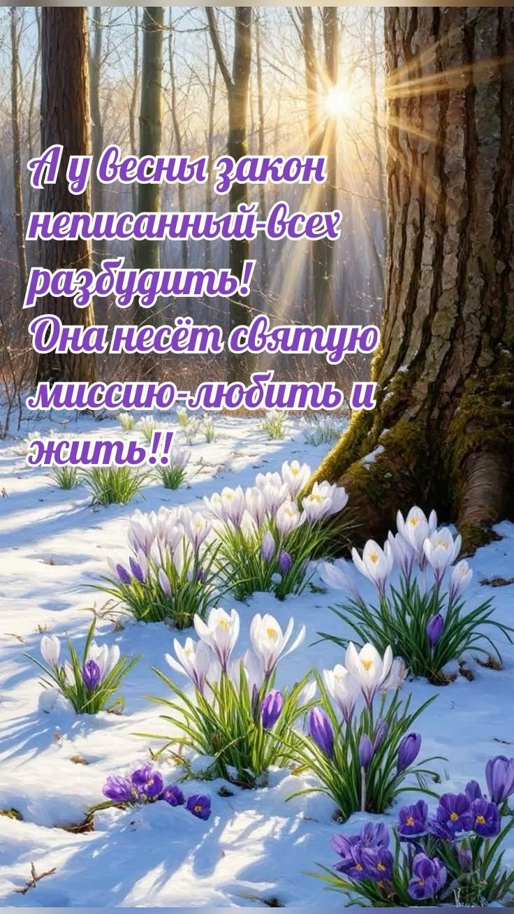 А у весны закон неписанный: всех разбуждать! Она несёт святую миссию - любить и жить!!
