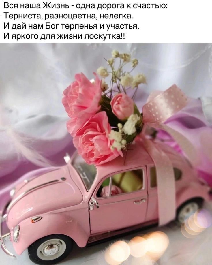 Вся наша Жизнь - одна дорога к счастью: Тернистa, разноцветна, нелегка. И дай нам Бог терпенья и участья, И яркого для жизни лоскуточка!!!