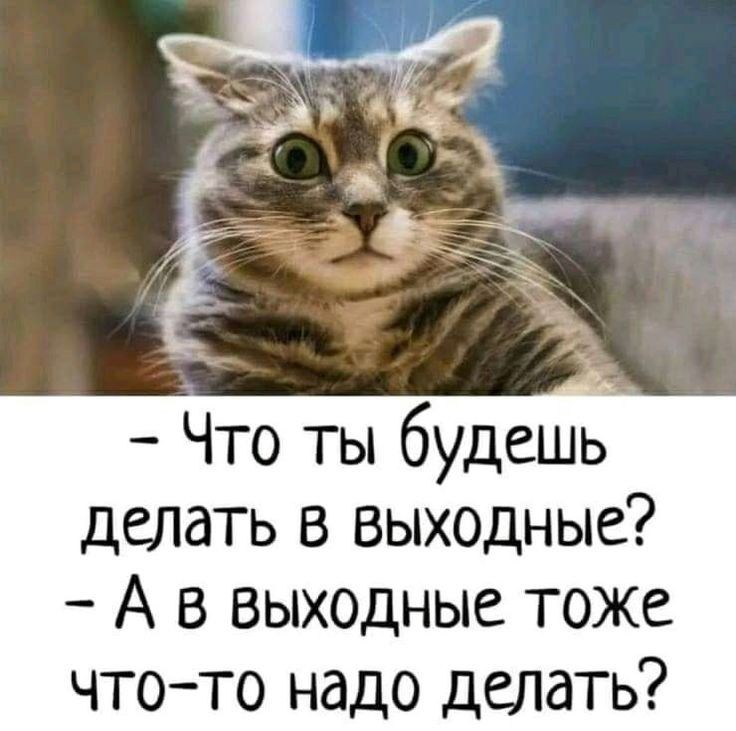 - Что ты будешь делать в выходные? - А в выходные тоже что-то надо делать?