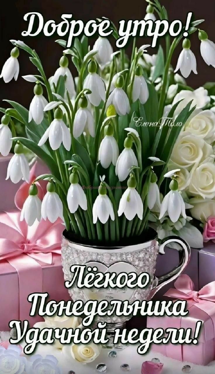 Доброе утро! Лёгкого понедельника удачной недели!