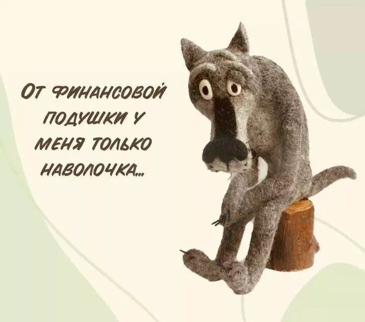 От финансовой подушки у меня только наволочка...