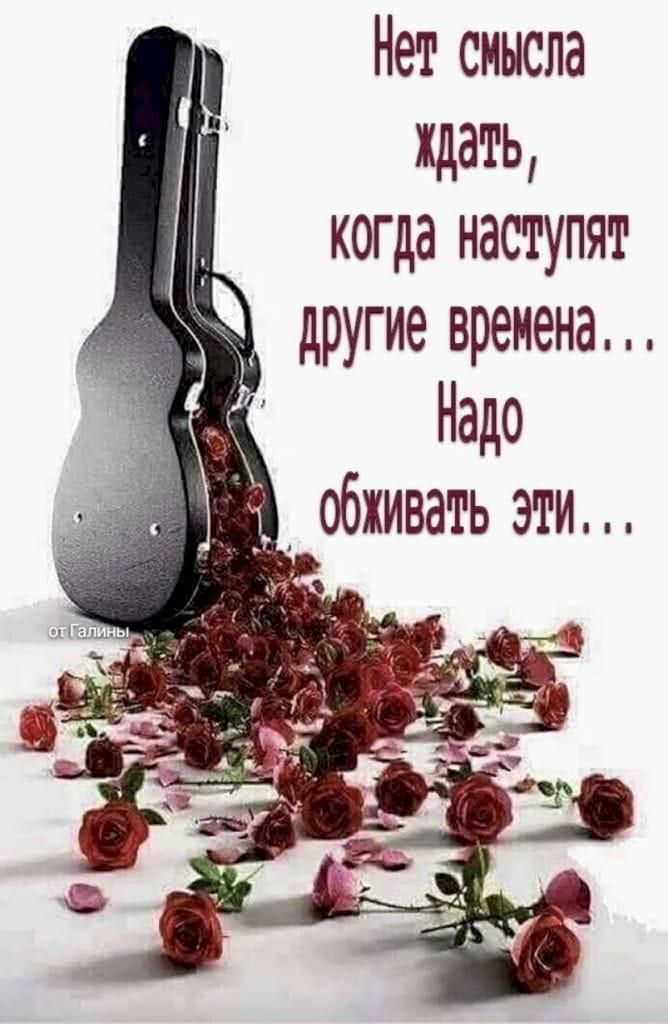 Нет смысла ждать, когда наступят другие времена... Надо обживать эти... от Галины