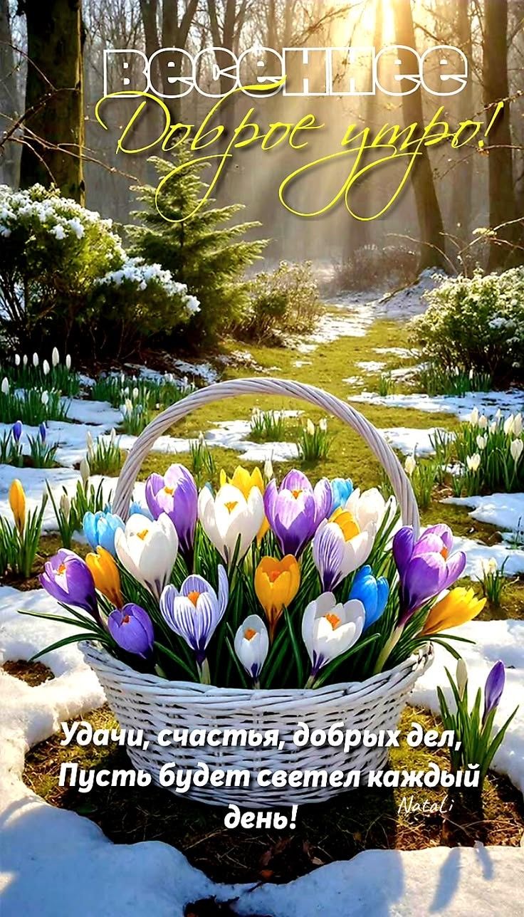 Весеннее Доброе утро! Удачи, счастья, добрых дел, Пусть будет светел каждый день! Natali