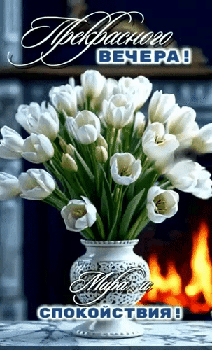 Прекрасного ВЕЧЕРА! Мира и СПОКОЙСТВИЯ!