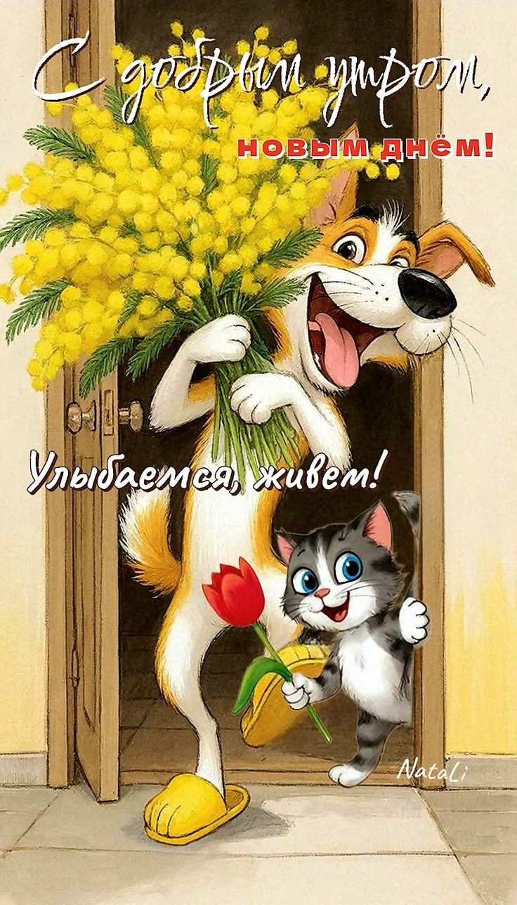 С добрым утром, новым днём! Улыбаемся, живем!