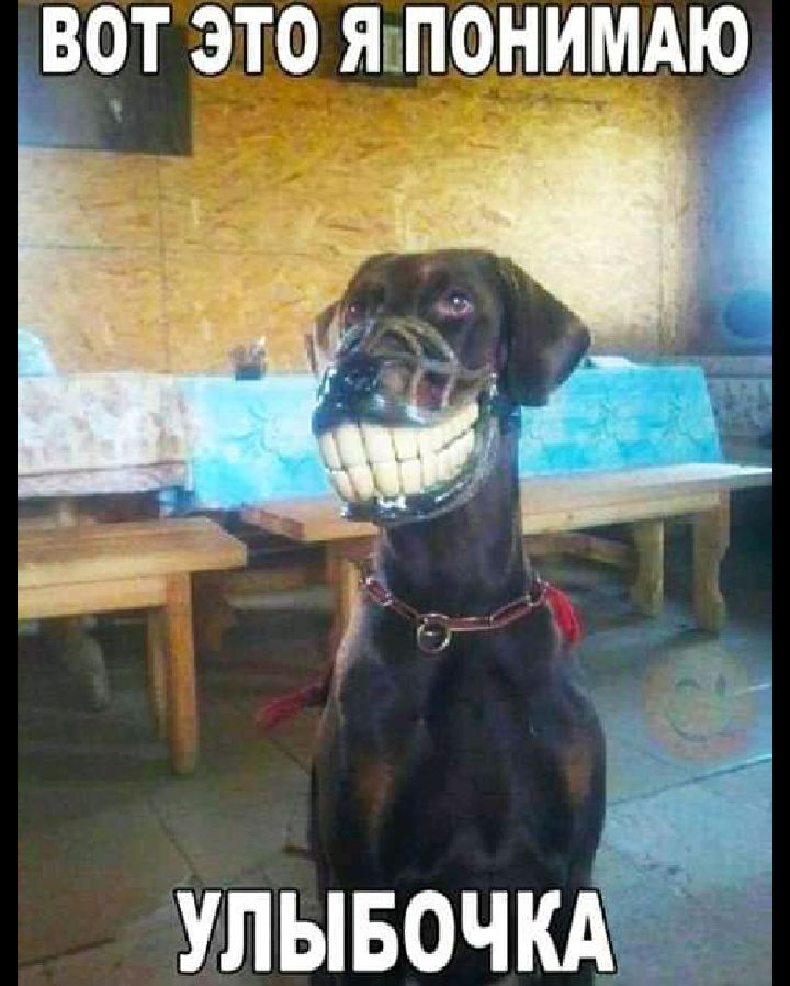 ВОТ ЭТО ЯпПОНИМАЮ УЛЫБОЧКА