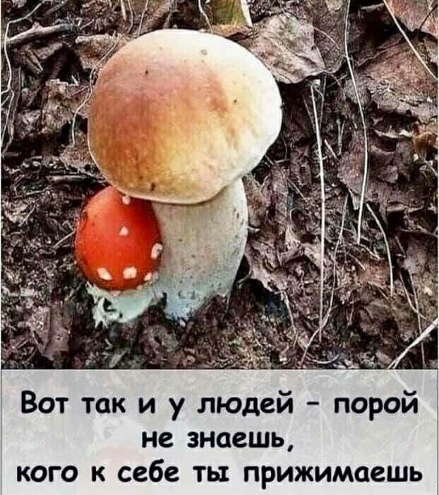Вот так и у людей порой не знаешь кого к себе ты прижимаешь