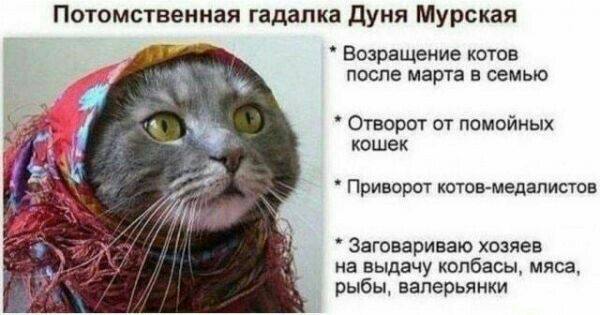 Потомственная гадалка дуня Мурская Возращение котов ПОСПВ марта В СЕМЬЮ Отворот от помойных кошек Приворот котов медалистов Заговариваю хозяев на выдачу колбасы мяса рыбы валерьянки