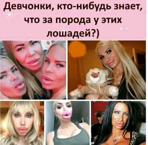 девчонки кто нибудь знает что за порода у этих лошадей нг