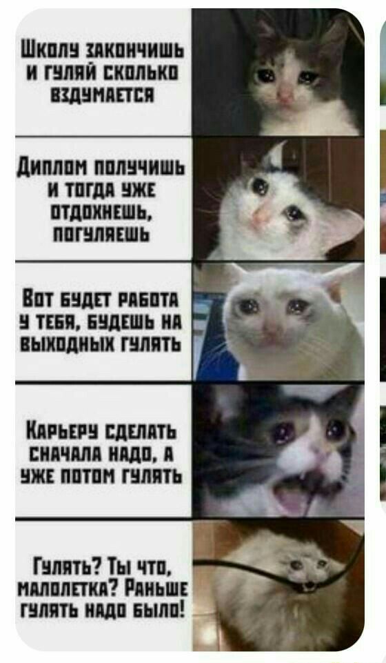 диплпи пилить и тигля ш тащишь пишиш КПП ШШШ ШП птн шит Гулять Ты чтп пямяти ниш шить иш пыли