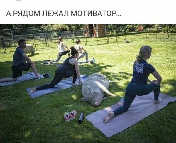 А РЯДОМ ЛЕЖАЛ МОТИВАТОР