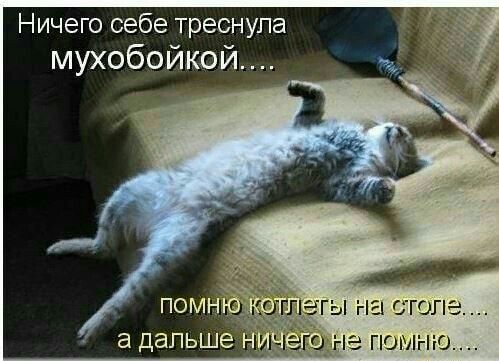 Ничего себе треснула мухобойкой а дальше Н ПСЛЛі Нг