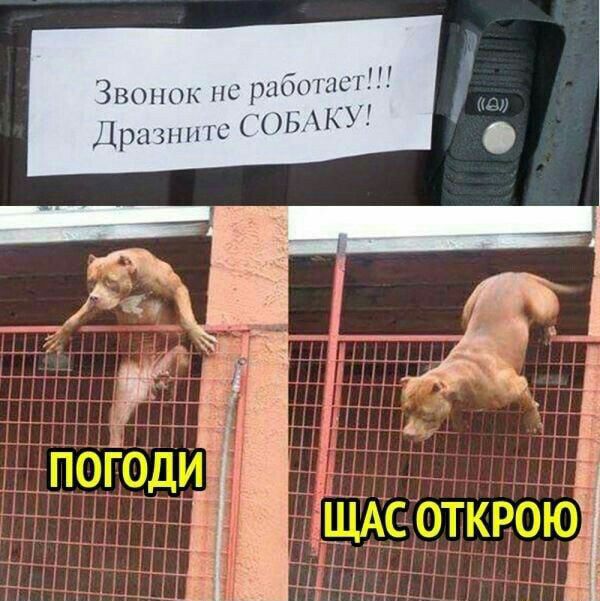 31201 по РыбопшП Црышпш БАКУ