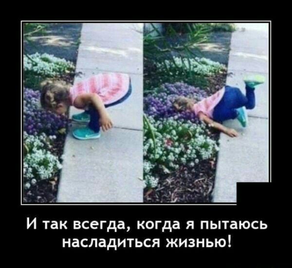 И так всегда когда Я пытаюсь НЗСЛЗДИТЬСЯ ЖИЗНЬЮ
