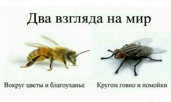 Два взгляда на мир Вокруг цветы и блаюуханье Кругом говно и помойки